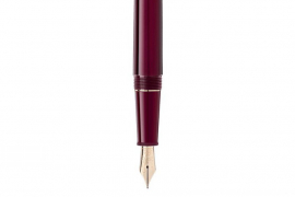 Ручка перьевая MONTBLANC Meisterstuck Le Petit Prince 125308
