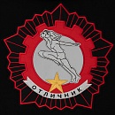 Толстовка Отличник ГТО, L - №3